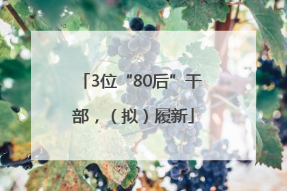 3位“80后”干部，（拟）履新