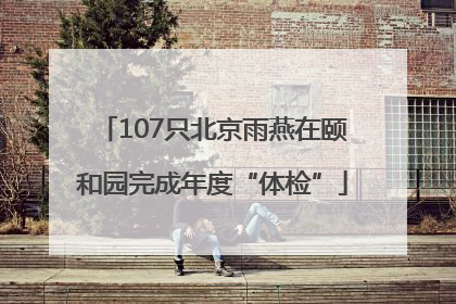 107只北京雨燕在颐和园完成年度“体检”