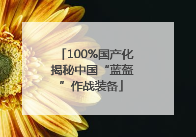 100%国产化 揭秘中国“蓝盔”作战装备