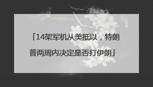 14架军机从美抵以，特朗普两周内决定是否打伊朗