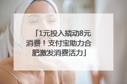 1元投入撬动8元消费！支付宝助力合肥激发消费活力