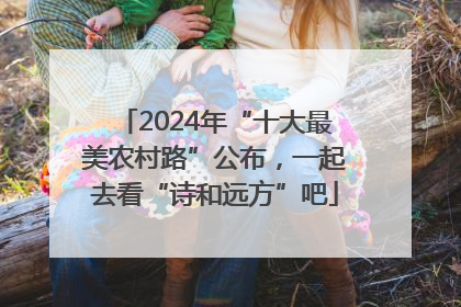 2024年“十大最美农村路”公布，一起去看“诗和远方”吧