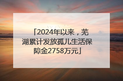 2024年以来，芜湖累计发放孤儿生活保障金2758万元