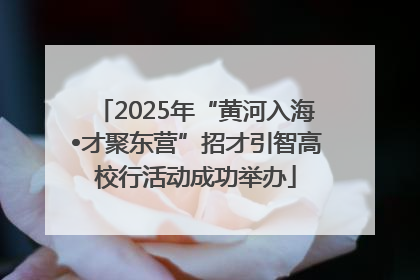 2025年“黄河入海•才聚东营”招才引智高校行活动成功举办