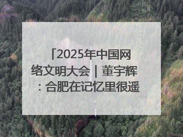 2025年中国网络文明大会｜董宇辉：合肥在记忆里很遥远也很亲切