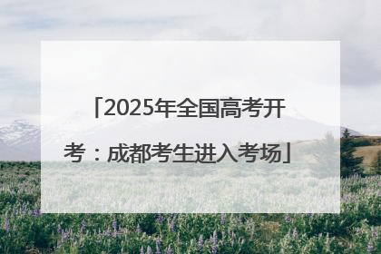 2025年全国高考开考：成都考生进入考场