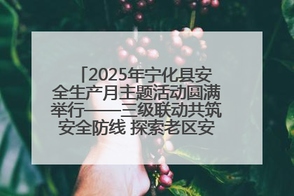 2025年宁化县安全生产月主题活动圆满举行——三级联动共筑安全防线 探索老区安全发展新路径