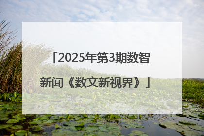 2025年第3期数智新闻《数文新视界》