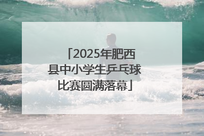 2025年肥西县中小学生乒乓球比赛圆满落幕