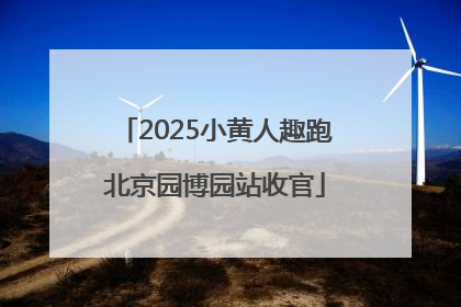 2025小黄人趣跑北京园博园站收官