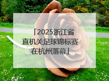 2025浙江省直机关足球锦标赛在杭州落幕