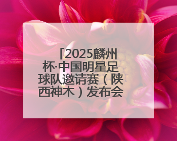 2025麟州杯·中国明星足球队邀请赛（陕西神木）发布会成功举行