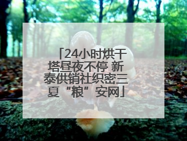 24小时烘干塔昼夜不停 新泰供销社织密三夏“粮”安网