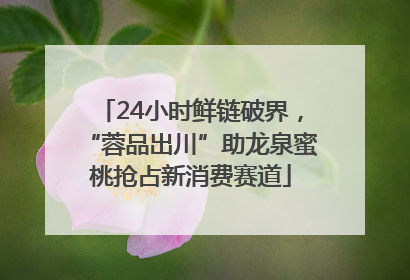 24小时鲜链破界，“蓉品出川”助龙泉蜜桃抢占新消费赛道
