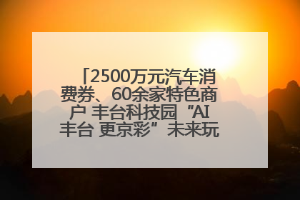 2500万元汽车消费券、60余家特色商户 丰台科技园“AI丰台 更京彩”未来玩家市集活动正式开幕