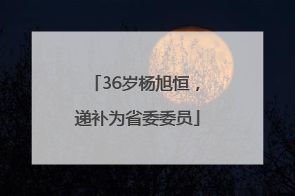 36岁杨旭恒，递补为省委委员