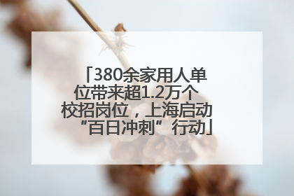 380余家用人单位带来超1.2万个校招岗位，上海启动“百日冲刺”行动