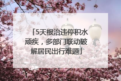 5天根治违停积水顽疾，多部门联动破解居民出行难题