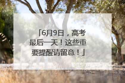 6月9日，高考最后一天！这些重要提醒请留意！