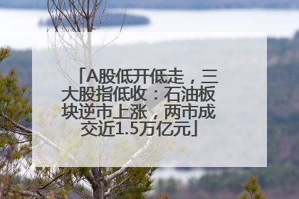 A股低开低走，三大股指低收：石油板块逆市上涨，两市成交近1.5万亿元