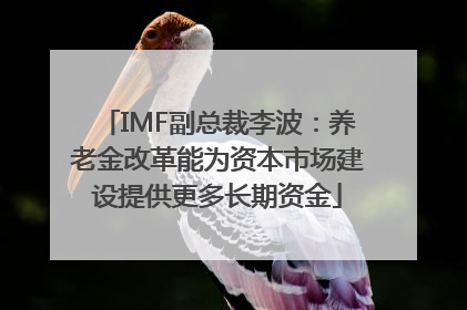 IMF副总裁李波：养老金改革能为资本市场建设提供更多长期资金