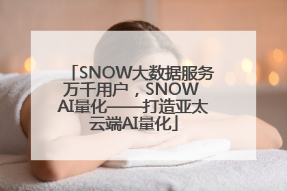 SNOW大数据服务万千用户，SNOW AI量化——打造亚太云端AI量化